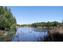 IMG 20180521 131951.jpg