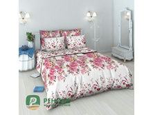 5577-1 ������ �����.jpg