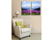 ������� 2.jpg