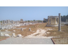 IMG 20180505 152509.jpg