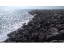 IMG 20180507 160825.jpg