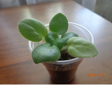 ��-�������