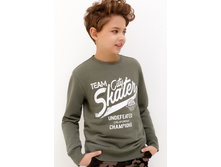 20110100123   Platini   ����.jpg