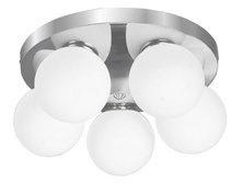 A4445PL-5CC 1600�.jpg