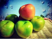 �������