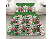 7153-1 ��������.jpg