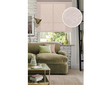 ����� ����� ����������.jpg