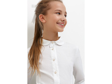 20240260038   Trillium   �����(������).jpg