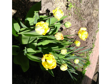13.05.18 ����� ����� �� ���������