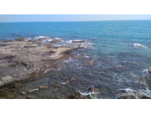 IMG 20180507 155729.jpg