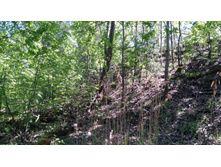 IMG 20180521 132313.jpg