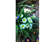 P 20180509 092045.jpg