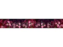 475612741 w284 h200 artskinali 38.png