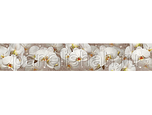 475252921 w284 h200 artskinali 7.png