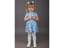 ������ ���� ���� 240 �.jpg