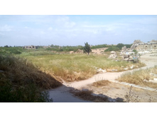 IMG 20180507 154219 HDR.jpg