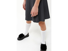 20240180027   Wedelia1   �����(������).jpg