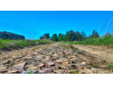 P 20180526 141253 HDR-01.jpeg