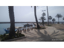 IMG 20180505 154907.jpg