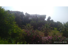 IMG 20180524 090324.jpg