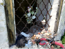 2018.05.26 11-48-21 (IMG 20180526 114816) GlebKa.jpg