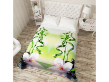 10897. ��������� �������� "������ � �������"