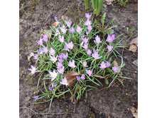 ������� 02.05.2018