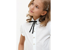 20240270012   Aconitum   �����(������).jpg