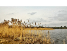 P 20180502 120202 HDR-01.jpeg