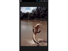 Screenshot 2018-05-30-00-36-09.png