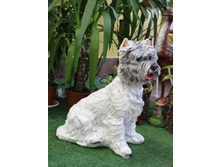 ������ ������� 501,78.jpg