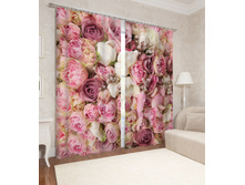 01134 "����������"