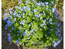 ��������.