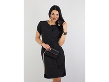 ������ ���� ���� 650 �