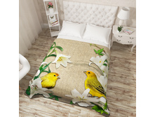 08571 ��������� �������� "������ ������ � ������"