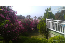 IMG 20180524 090221.jpg