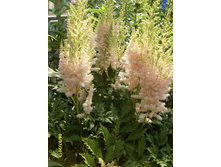 �������� ������ � ���