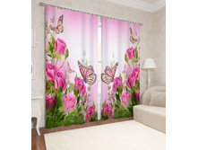 02355 "������ �� ������� �� �����"