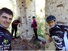 P 20180526 120757 BF-01.jpeg