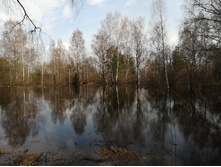 IMG 20180430 151650.jpg