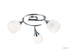 A9556PL-3CC 800�.jpg