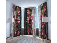 ������� �� ������.jpg