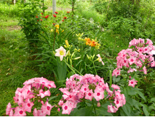 ��� ������