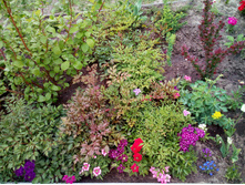 IMG 20180527 155004.jpg