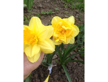 ������� � ��� �������.JPG