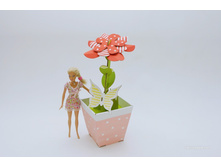 ������ �������, ��.����. ����.jpg