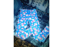 ����� �/� ������ �.8 ���