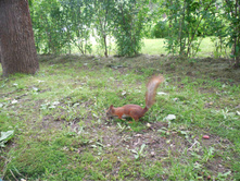 ������������ �������