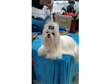 31445139 1785103584869107 5490745564834299904 n.jpg