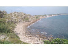 IMG 20180507 154451.jpg